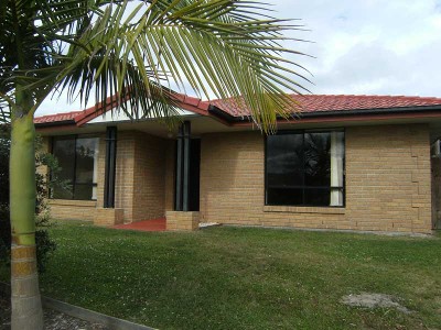 Big and Beautiful Picture