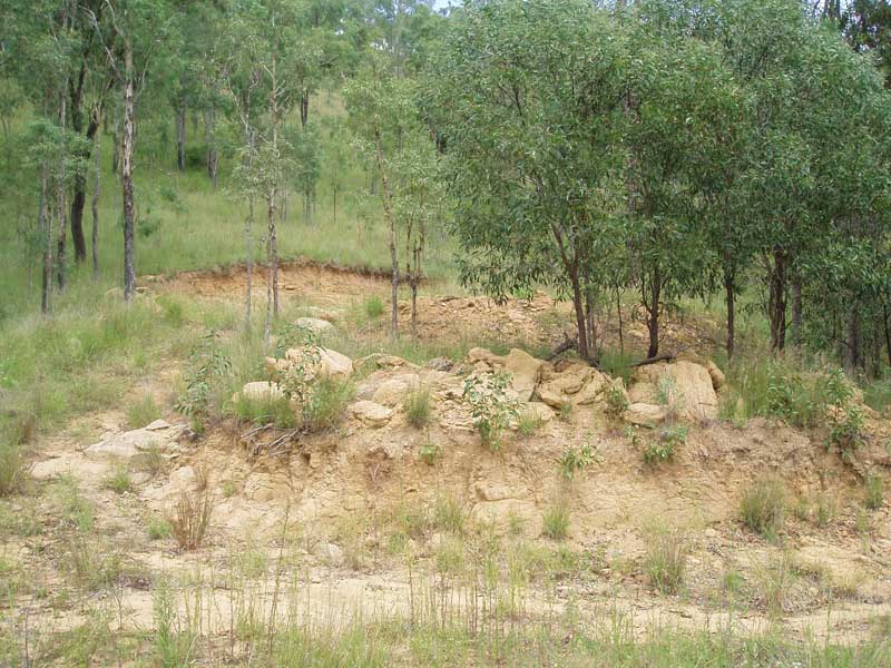 Build your home, Live Your Dream! Picture 2