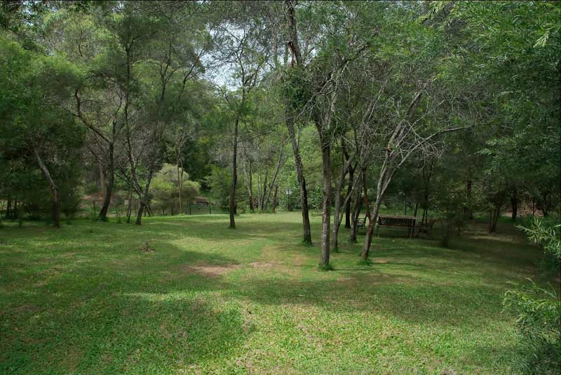 Country living, City Convenience Picture 1