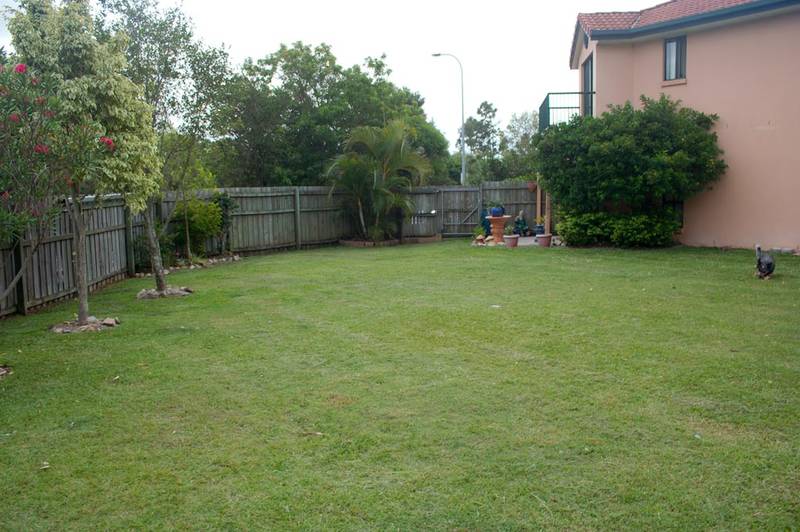 Big modern Duplex Picture 1