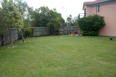 Big modern Duplex Picture