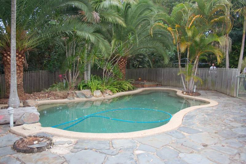 Entertainer's Delight! Picture 3