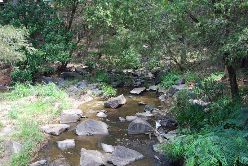 So Neat, So Sweet! Picture 3