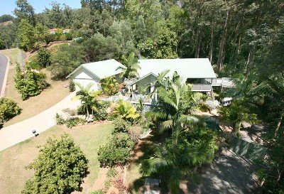 Koala Country! Picture Koala Country! Picture