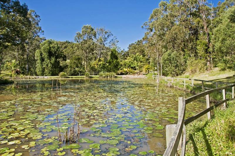 Prestige Acreage Home sites Picture 3