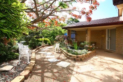 Cream Of The Crop! Picture