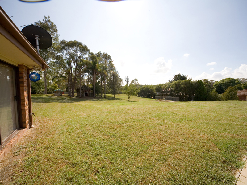 The Song of Bellbirds Welcome You... Picture 2