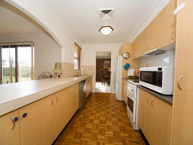 The Song of Bellbirds Welcome You... Picture 3