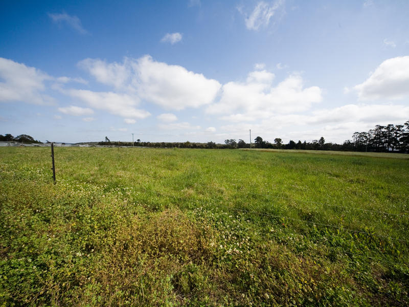 Hobby Farmer or Serious Pursuit? Picture 1