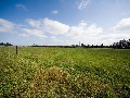 Hobby Farmer or Serious Pursuit? Picture