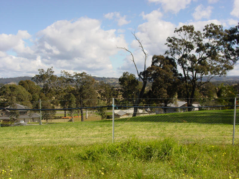 KING OF THE HILL Picture 1