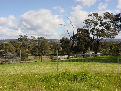 KING OF THE HILL Picture KING OF THE HILL Picture