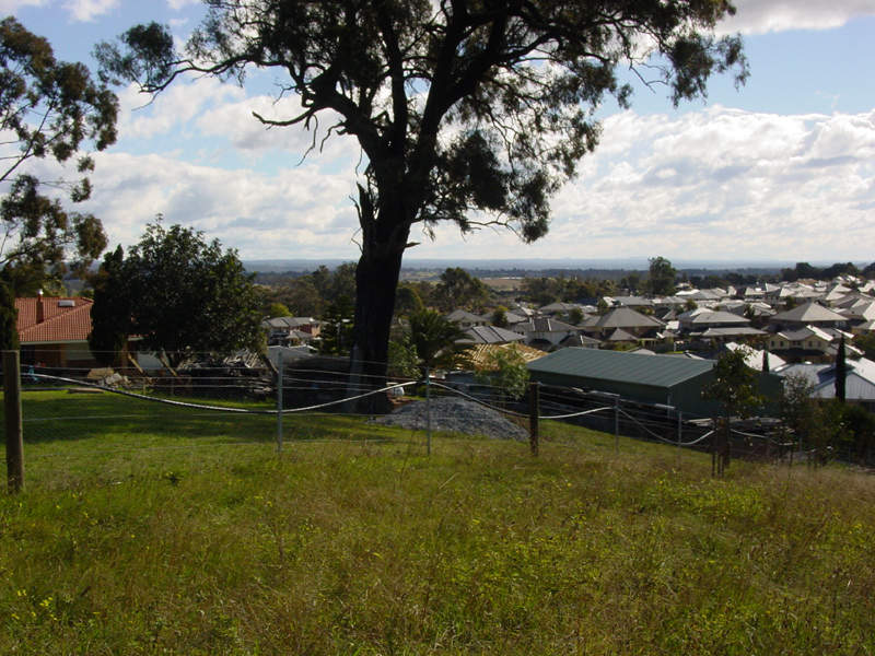 KING OF THE HILL Picture 3