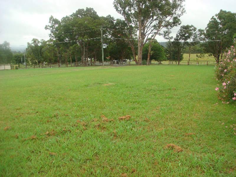 Near Level Elevated Position. Picture 1