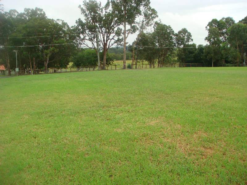 Near Level Elevated Position. Picture 2