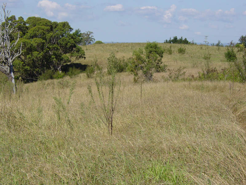 THE STUNNING VIEWS ARE A PRICELESS BONUS Picture 2