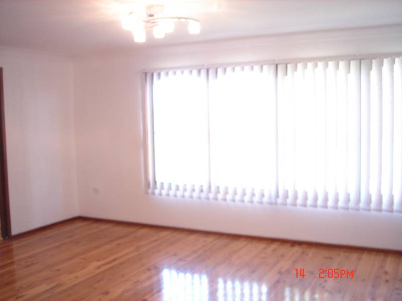 5 Acres - Renovated home Picture 3