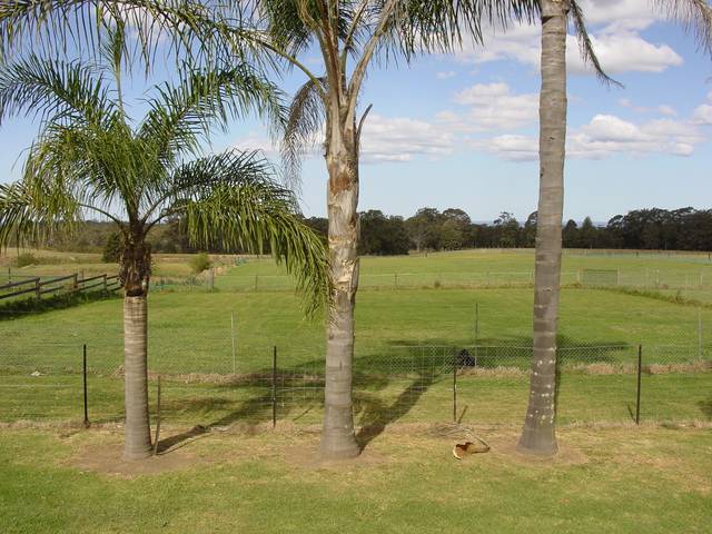 Suitable for horses Picture 3