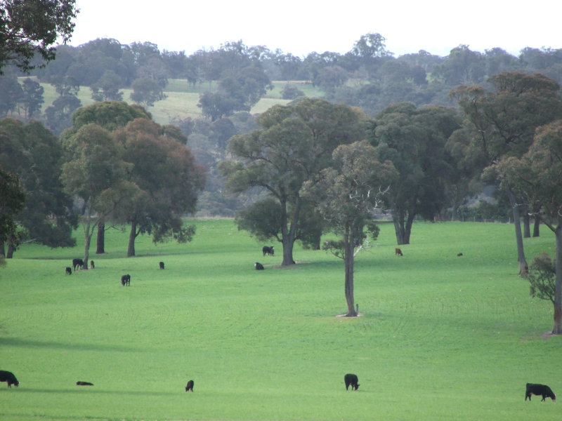 1816 Acres - Fattening & Breeding Country Picture 1