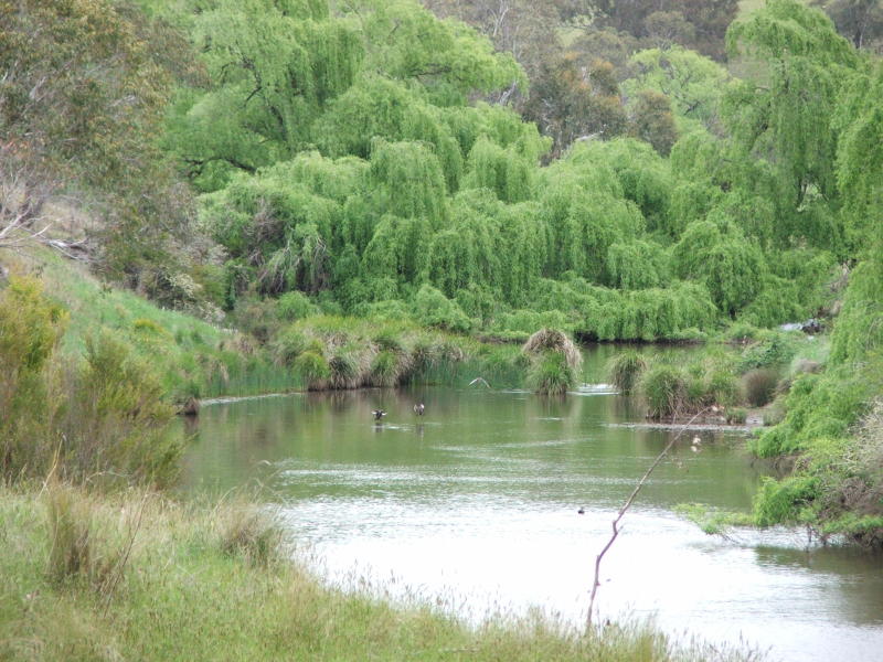 1816 Acres - Fattening & Breeding Country Picture 2