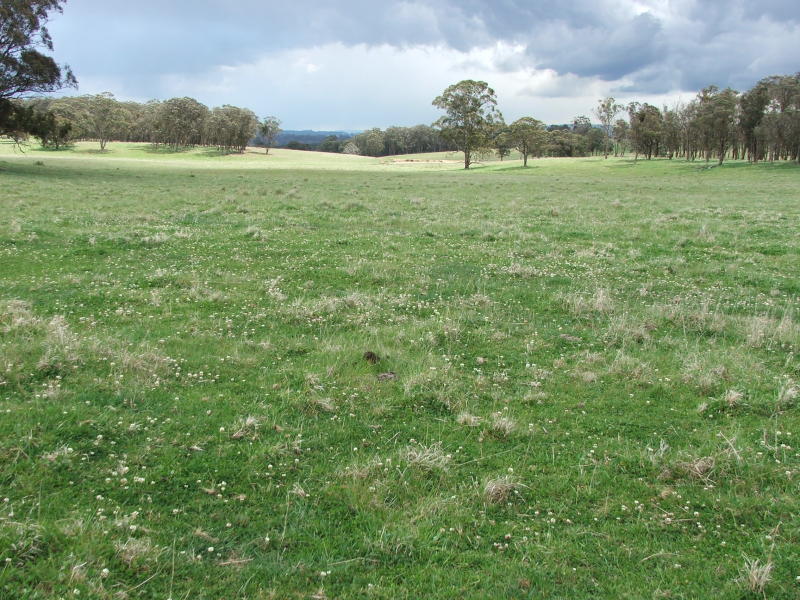 1816 Acres - Fattening & Breeding Country Picture 3