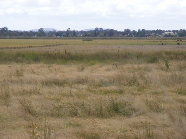 ACRES JUST A MINUTE TO TOWN Picture 2