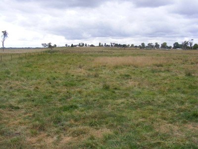 ACRES JUST A MINUTE TO TOWN Picture