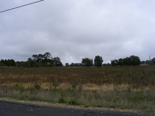 Best of the Best Picture 3