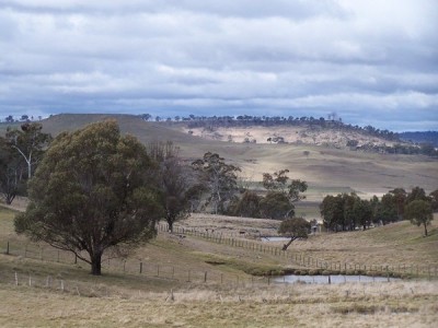 Building Block Picture