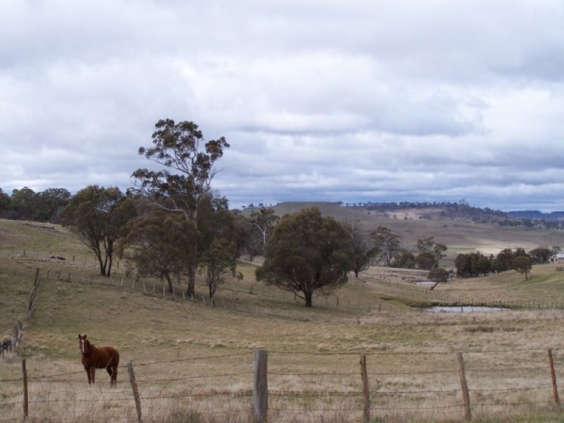 Building Block Picture 3