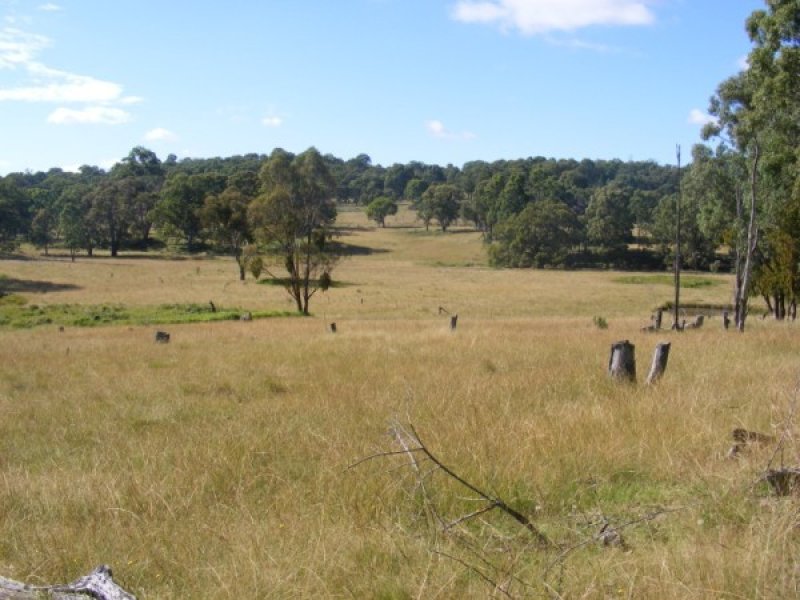 Cheap Acres Picture 2