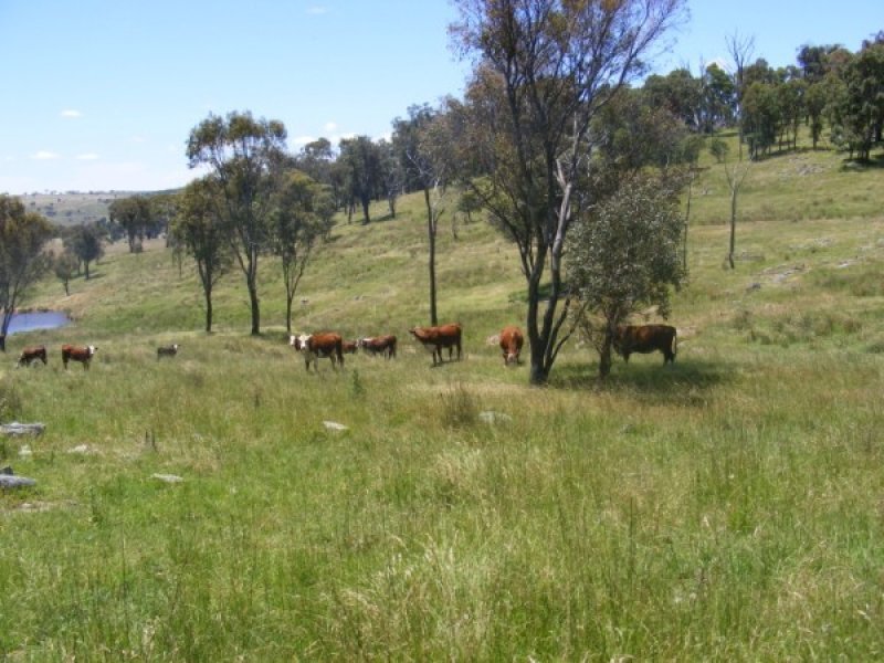 Developed Property Picture 1