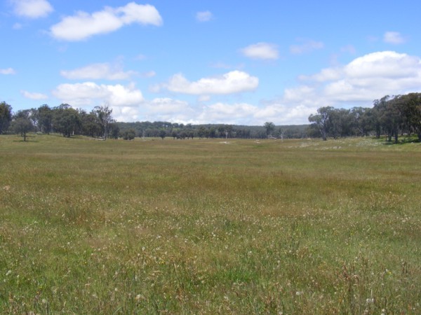 Developed Property Picture 2