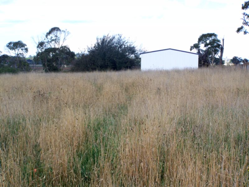 First Home Builders! Picture 3