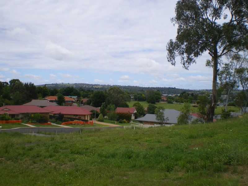 Friendly Family Neighbourhood Picture 1