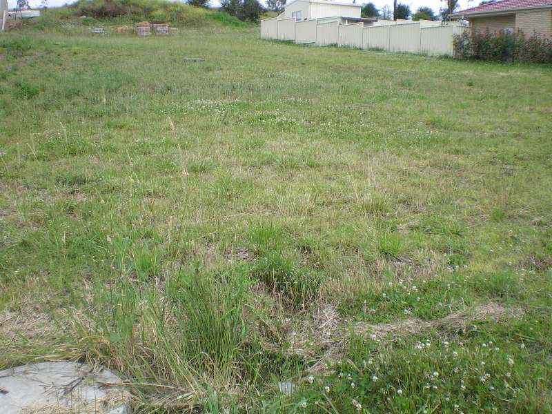 Friendly Family Neighbourhood Picture 2