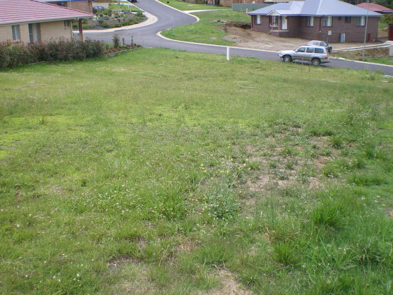 Friendly Family Neighbourhood Picture 3