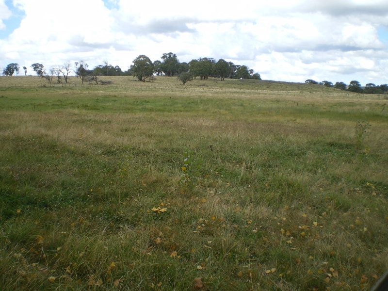 Highly Sought After Picture 1