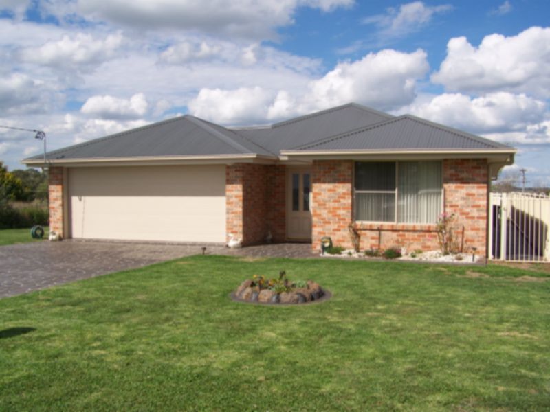 King Of the Hill Picture 1