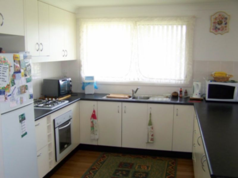 King Of the Hill Picture 2