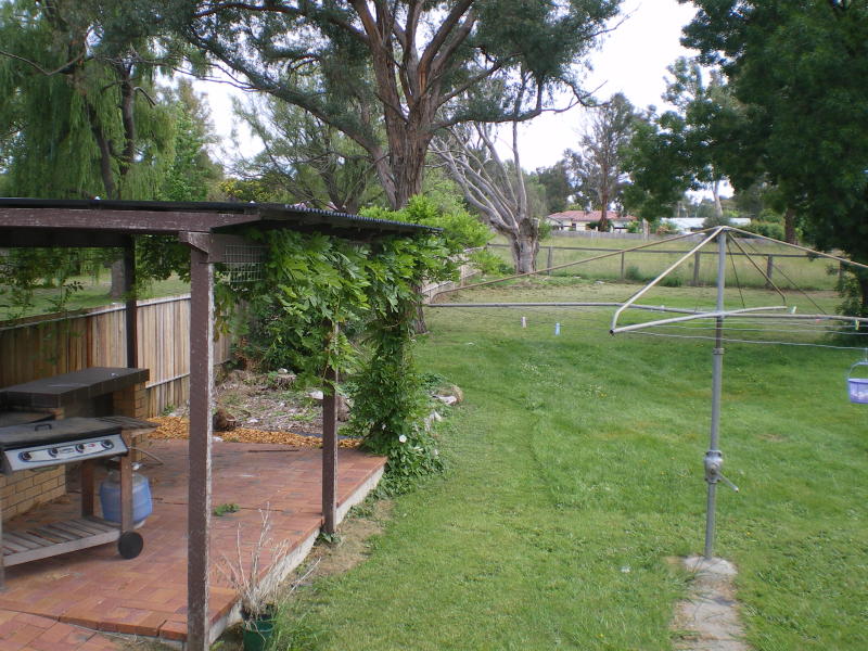 Neat in Newton Picture 3