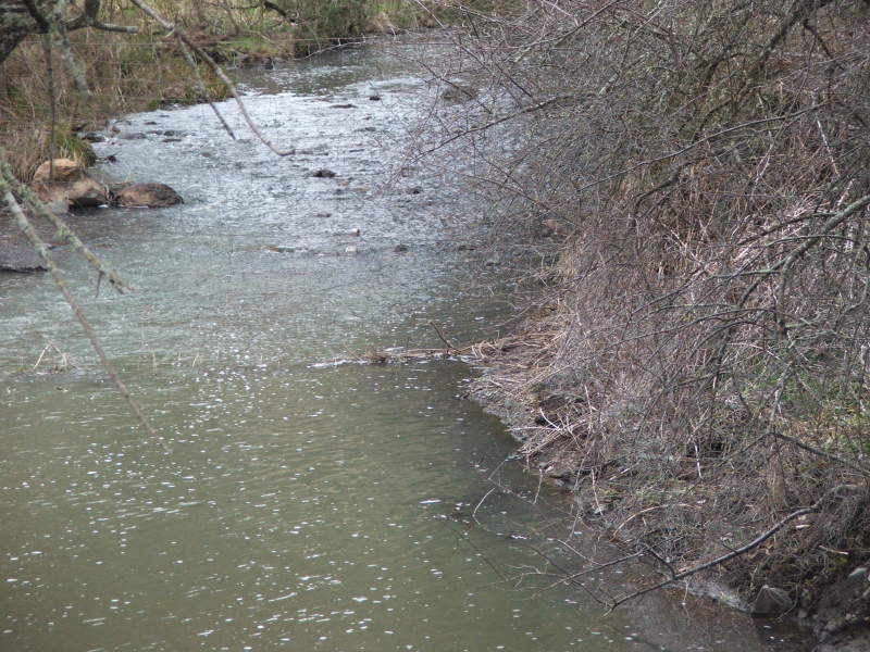 Saddle Up The Horses! Picture 3