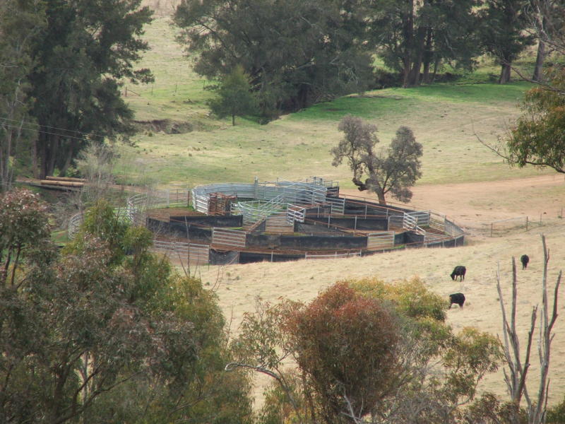 Saddle Up The Horses! Picture 2