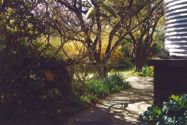 Secluded Garden Setting Picture 3