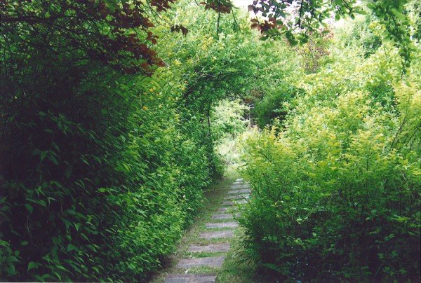 Secluded Garden Setting Picture 2