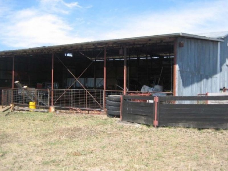 South of Bundarra Picture 1