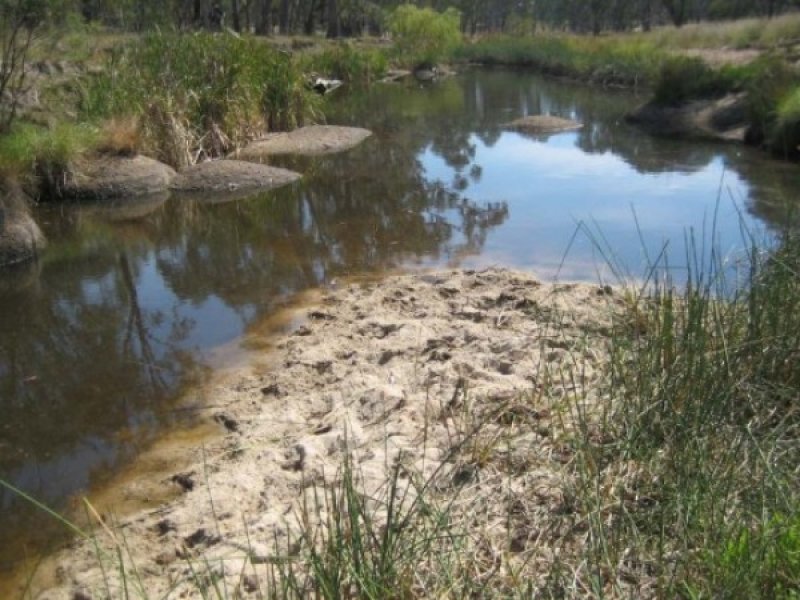 South of Bundarra Picture 3