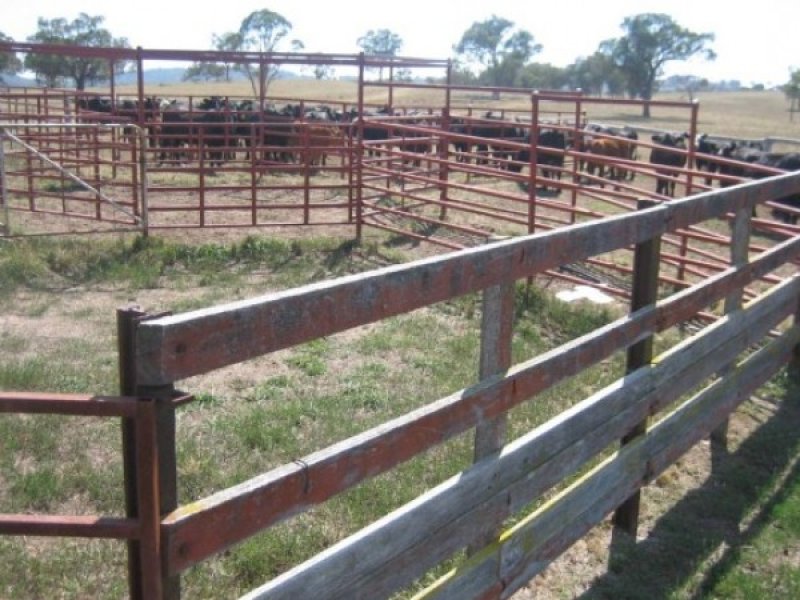 South of Bundarra Picture 2