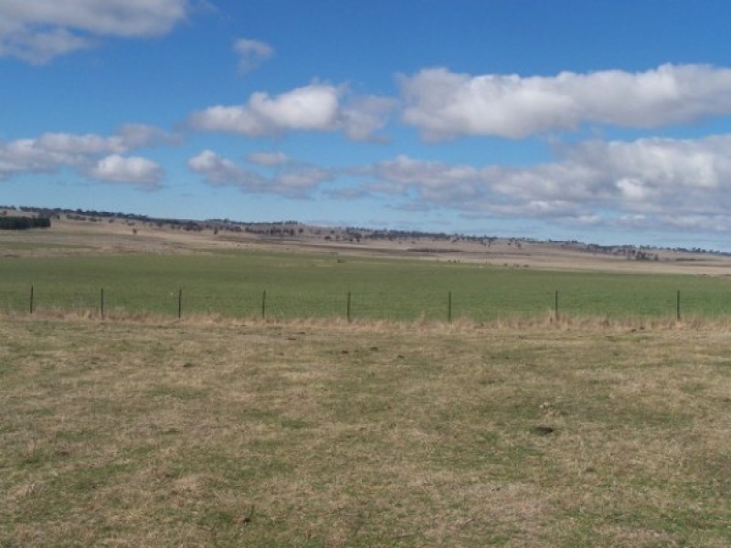 Uralla Fattening Block Picture 3