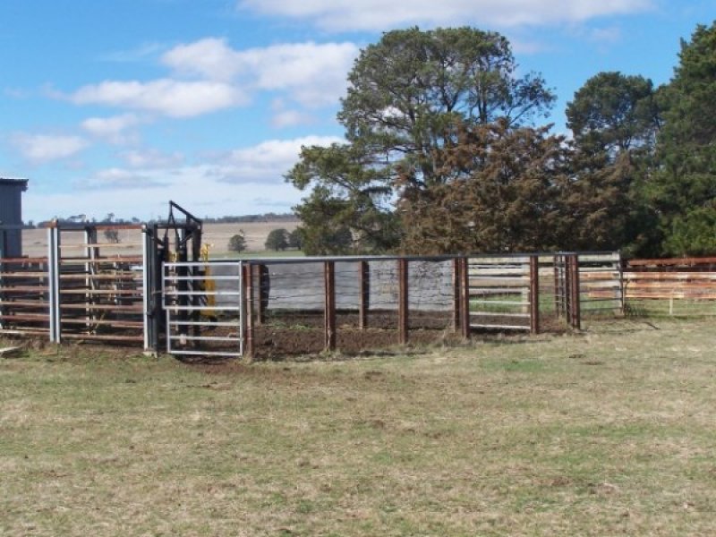Uralla Fattening Block Picture 2